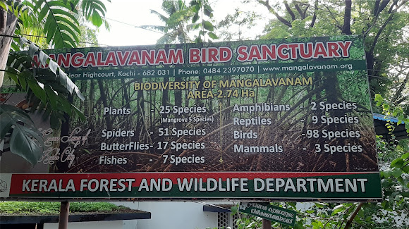 Willingdon Island 