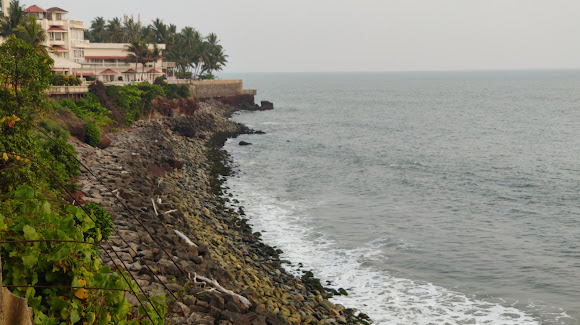 Ashtamudi Lake 
